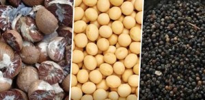 सरकारले खुलायो केराउ, सुपारी र कालो मरिच आयातमाथिको प्रतिबन्ध 